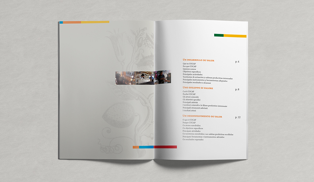 COCAP_brochure2
